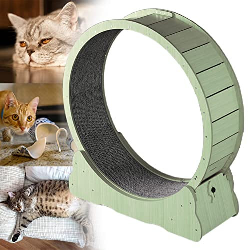 json2xml Großes Laufrad für Katzen, geräuschloses Katzenlaufrad für den Innenbereich, Sicherheitsschloss-Design und einfache Installation, Verschiedene 3 Farben und 4 Größen erhältlich,Green-L