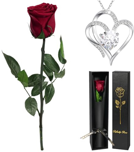 Yamonic Ewige Rose Geschenke für Frauen, Ewige Echte Rose mit Herz Halskette Damen Geschenke Freundin Mama Oma,Infinity Rose mit Kette,Frauen Geschenk Weihnachten Geburtstag Valentinstag Muttertag