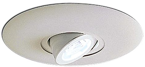 Nora Lighting NL-665W Surface Adjustable Round Spot Recessed