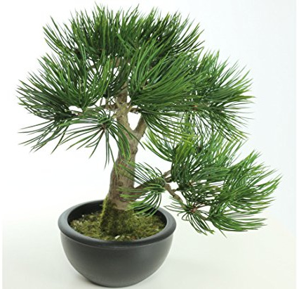 Künstlicher Pinien Bonsai 33cm mit 43 Zweigspitzen im schwarzen Topf mit feinem Kunstmoos und Kieselsteinen