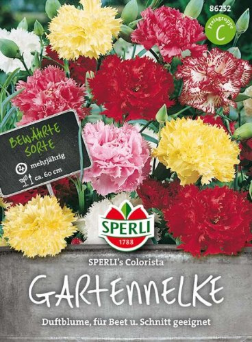 Sperli Gartennelke SPERLI´s Colorista