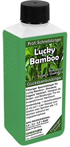 GREEN24 Glücksbambus Dünger – 250ml Spezial-Flüssigdünger für Lucky Bamboo (Dracaena sanderiana) | Für kräftiges Wachstum & sattes Grün | Verhindert gelbe Blätter | Ideal für Hydrokultur & Wasser