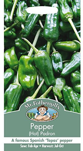 Mr Fothergill?s Seeds Ltd 14304 Mr Fothergill's Pepper (Hot) Padron, Green