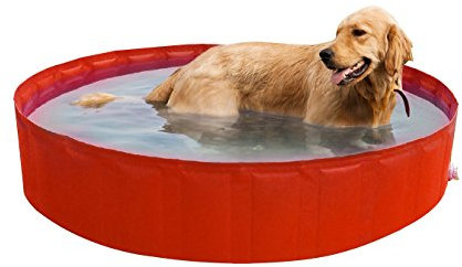 New Plast 0104 - My Dog Pool Piscina per Cani, 180 x 30 cm (ØxH)