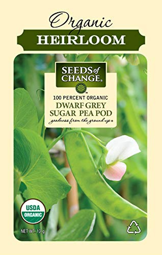 Seeds Of Change 8268 Certified Dwarf Grey Pea, Organic, Seeds, Green