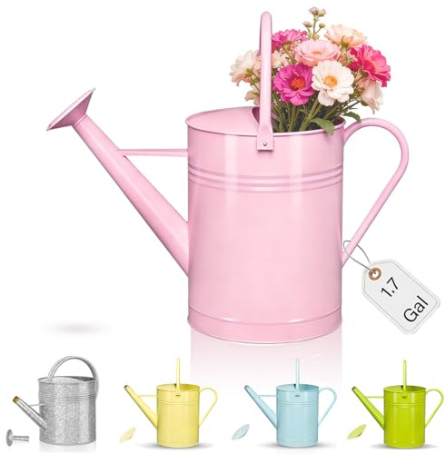Regadera galvanizada para plantas de interior y exterior, regadera decorativa de 1.5 galones estilo rústico con boquilla extraíble, regadera de metal perfecta para plantas de interior y flores de