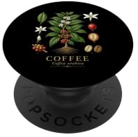 Coffee Coffea arabica Vintage Botanical Anatomy Study Plate PopSockets Adhesive PopGrip