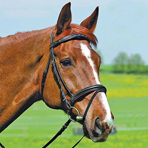Kieffer Trensenzaum Comfort I