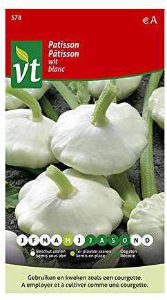 White Pastry Seeds per gram - A Strange Vegetable, Related to courgette - 1,5 g - Seeds per gram: 8