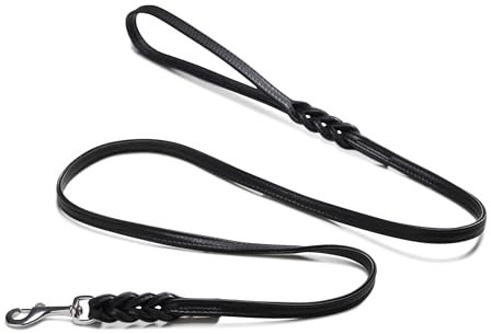 Jack & Russell Leder Hundeleine geflochten – Hunde Lederleine aus Büffelleder schwarz und Edelstahl Karabiner - Leine Katalina (1,5 m)