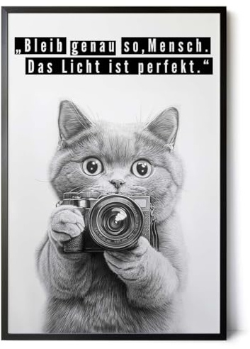 Paul Sinus Poster/Leinwandbild/Rahmenoption – Fotografierende Katze „Bleib genau so, Mensch…“ – Lustige WC-Deko für dein Badezimmer