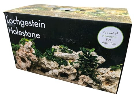 Deco-Set Natural Hole Stone Aquarium Rock for 80L Fish Tanks, Tropical & Cold Water Safe Decorative Rock with Natural Caves, Fish & Reptile Friendly (Hole Stone, 80 Litre Set) Hanicks GB145