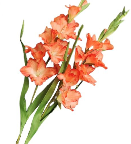 BQEE Long Stem Artificial Gladiolus Flower, Set of 2, Home/Wedding/Office Decor (Orange)