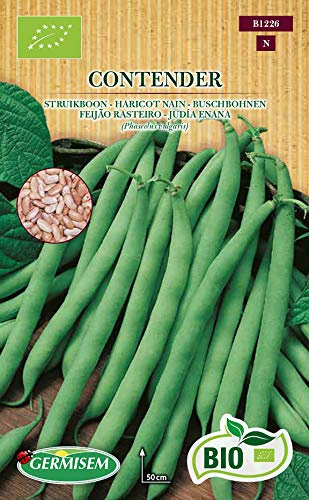 Germisem Bio Contender Graines de Haricots Français 80 g ECBIO1226 Multicolore