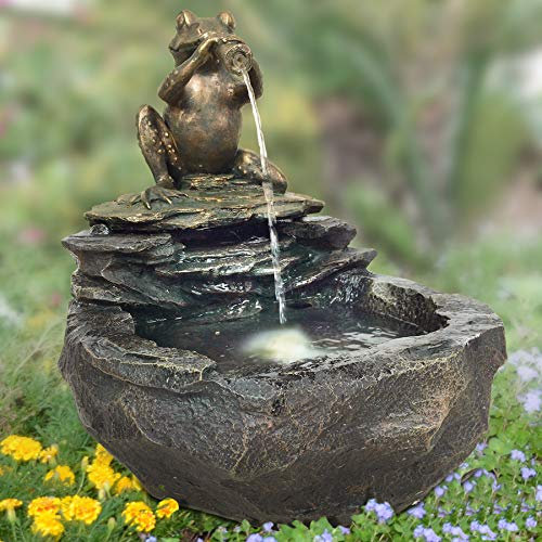 Gartenbrunnen ZIERBRUNNEN VOGELBAD Wasserfall GARTENLEUCHTE TEICHPUMPE - SPRINGBRUNNEN WASSERSPIEL für Garten (DURSTIGER Frosch mit LED-Licht - 230V)