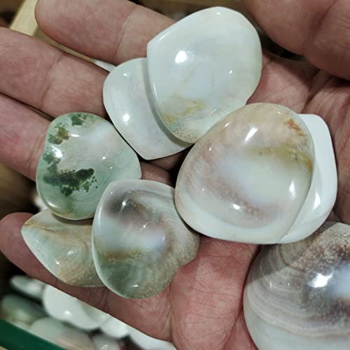 IDUTQUMW Décor à la Maison, Coquille de Pierre Naturelle en Forme de Coeur Coquille de Soleil Cristal Coeur Coquille Pierre escargots Forme onirique Cadeaux Cadeaux, Cristal Naturel (Size : 10pcs)