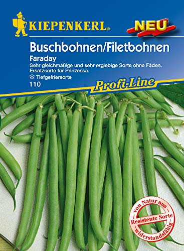 Kiepenkerl 110 Buschbohne/Filetbohne Faraday (Buschbohnensamen)