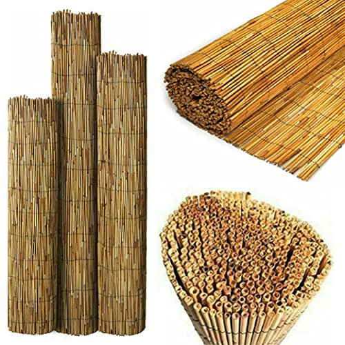 SASONS® Quality Garden Natural Peeled Reed Fence Screen Roll Panel Best for Outdoor Privacy, Fencing Screening Wooden Fence Walls Sun/Wind Protection [ 1.8 x 4 Meter ]
