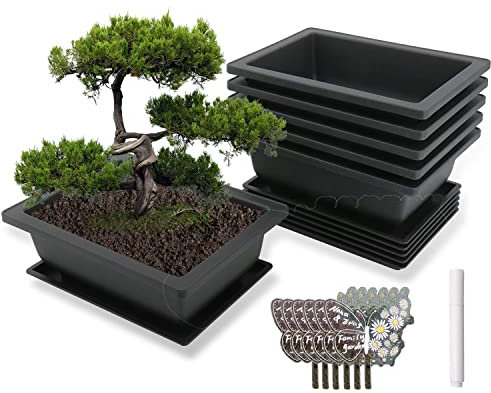 MissFox Lot de 6 Pot pour Bonsai avec Soucoupe, 23x17x8cm, Pot Bonsai Rectangulaire, Pots de Fleurs en Plastique avec 6 Étiquettes Plantes en Acrylique et Stylo pour L'Entretien