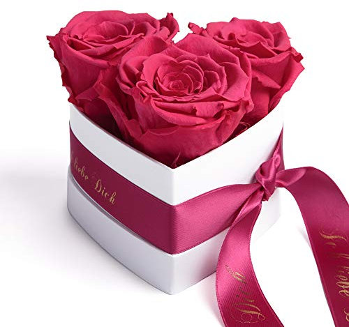 ROSEMARIE SCHULZ Heidelberg Infinity Rosenbox in Herzform mit konservierten Rosen in Pink Geschenk zum Valentinstag (Pink, Small)