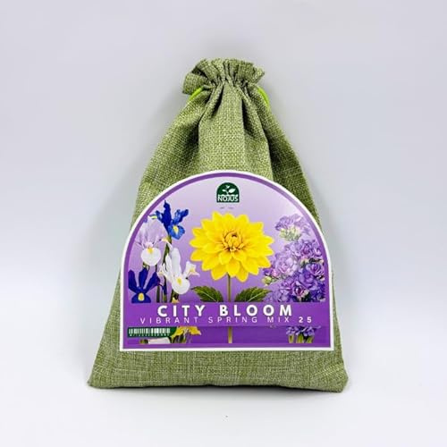 Nojus City Bloom Vibrant Spring Mix – 25 Blomlökar & Knölar (Iris, Freesia och Dahlia) – Färgglada Vår- och Sommarblommor för Trädgård, Balkong och Krukor