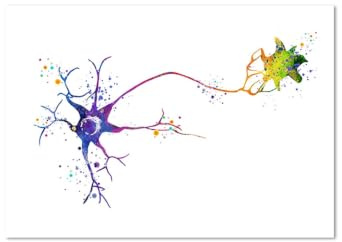 1st Neuron Akvarell Neurovetenskap Neurologi Väggkonstaffischtryck Hjärnanatomi Medicin Dukmålning Synapsklinikrum(05,20x30cm)