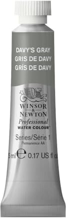 Winsor & Newton 0102217 Professional Aquarellfarbe, lebendige Wasserfarben in Künstlerqualität, hohe Farbbrillanz & Leuchtkraft, lichtecht, Archivqualität, 5ml Tube - Davy's Grau