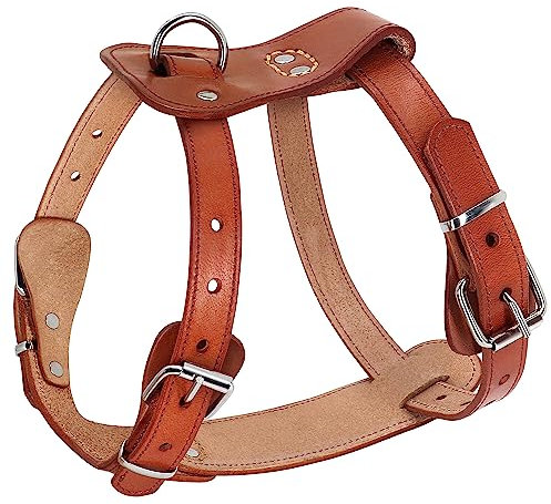 Beirui Hundegeschirr aus echtem Leder – kein Ausbrechen für mittelgroße und große Hunde, Haustier-Training, Spazierengehen – einfach verstellbares,73.7 cm, Braun