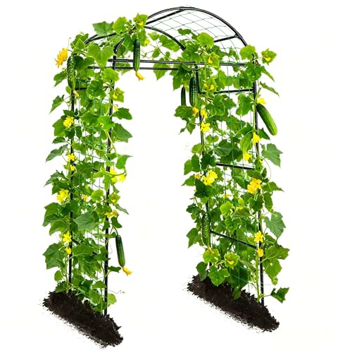 Yotoworth Gurken Rankhilfe Gartenbogen für Kletterpflanzen,200cm Hoher | Metall Rostfrei Rankhilfe für Pflanzenspalier für Tomaten, Gemüse Rankgitter Blumen Kletterpflanzen,Schwarz