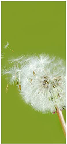posterdepot Türtapete Türposter Pusteblume auf der Wiese mit fliegenden Samen - Größe 93 x 205 cm, 1 Stück, ktt0493