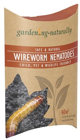 Wireworm Nematodes 60sqm Coverage Effective Control Safeguards Plants, Potatoes Easy Application Process for Wireworm Infestations