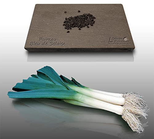 500 graines à semer - Le Grenier d'Abondance - POIREAU Bleu de Solaise - Allium porrum