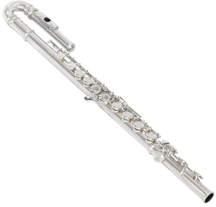 Flauto Flauto curvo speciale a doppio bocchino con accordatura a C a 16 fori flauto per strumenti in ottone rame bianco