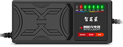 FPHADO Caricatore elettrico per veicoli da 48 V e 20 Ah, display a 7 luci, schermo di alimentazione, protezione perdite di corrente/impulso completo, spina UE