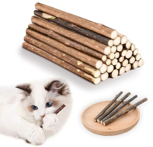Lot de 30 bâtons de soin dentaire naturel pour chat en bois Matataki avec arôme de menthe pour chat - Jouet à mâcher contre le tartre et pour le nettoyage des dents - Friandises à mâcher biologiques