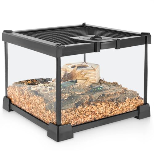 NEPTONION Mini-Reptilien-Glas-Terrarium, 20 x 20 x 14.5 cm, Vollsicht-Tank, kleine Amphibien, Glas-Lebensraum, Käfig mit Futterschlitz und Kastenschloss