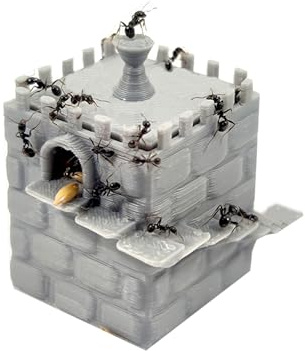 ANTHILLSHOP Ameisenfutter, 100 g, Auslöser für Samen, für Ameisen und Ameisen (mittelgroß, 37 x 37 x 50 mm)