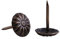 Akozon Chiodi Mobili,100pz Vintage Upholstery Nails Metallo Mobili Divano Porta Decorativo Chiodi Antichi Chiodini Tappezzeria (Daisy Nail: 11,2 * 16,6)