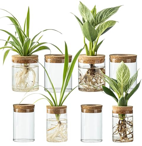 Glass Plant Propagation Stations for Plants – Set of 8(4 Large & 4 Small) Hydroponic Vases for Plant Cuttings,Flower Arrangements, Home & Office Decor–Desktop Vases for Living Room, Bedroom (8)