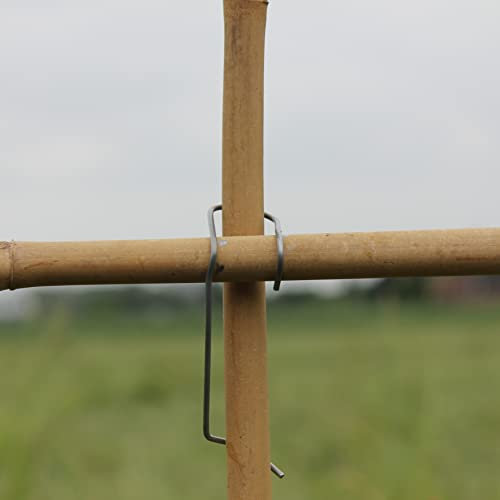 Velto Bambusklammern Tonkinklammern 50 Stück zum Bambusgitter Rankgerüst selber Bauen optimale Rankhilfe