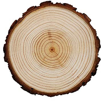 YTGZS Holzscheiben Basteln Unvollendete Holzkreise für Weihnachtsdekoration DIY Basteln Hochzeit Dekoration Durchmesser 19cm bis 20cm,Dicke 2cm 5 STK