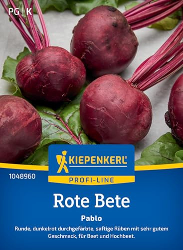 Kiepenkerl Rote Betesamen Pablo 1048960, Saatgut | Rote-Beete-Samen für saftige, für Rohkost & Säfte, Saatgut für 8-10 laufende Meter, Lagerfähig, aromatisch