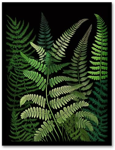 Wee Blue Coo Elegant Botanical Nature Foliage Artwork Fern Fronds Green on Black Artwork Framed Wall Art Print A4