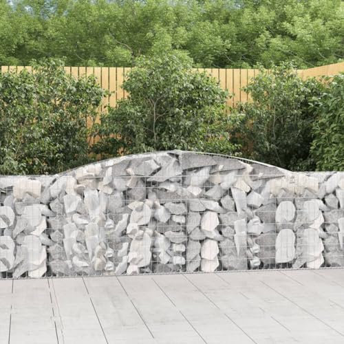 FUDUGEHMIOFWFJJ pflanzschale rund 60 cm,blumentopf XXL,Gabionen mit Hochbogen 9 STK. 400x30x100/120cm Verzinktes EisenGeeignet für Garten, Terrasse, Schlafzimmer, Wohnzimmer
