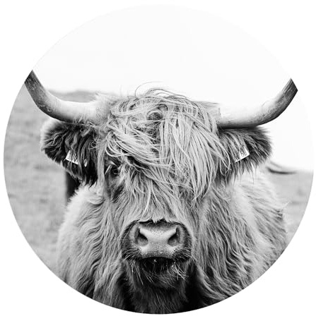 DEQORI Carta da parati rotonda autoadesiva Ø 120 cm | motivo corteccia altopiano | tela tessile – staccabile, decorativa e indeformabile – per soggiorno, ufficio, corridoio o cameretta dei bambini