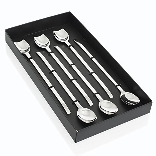 Table Passion - Coffret 6 cuilleres glace longue spiga