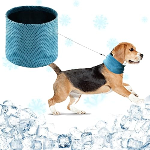 NiCola Dog Cooling Bandana, Blue Cooling Bandana for Dogs, Dog Collar for Dogs Puppy Cats Summer (Blue, M)