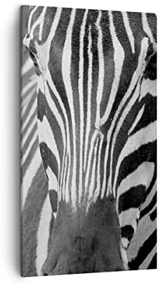 Bilder auf Leinwand Tiere Zebra gestreift Leinwandbild mit Rahmen 45x80cm Wandbilder Dekoration Wohnzimmer Schlafzimmer Küche Deko Klein Wanddeko Bild Wand Kunstdruck Art Wall Canvas PA45x80-2254