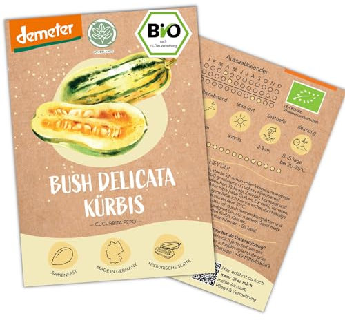BIO Kürbis Samen, 8 Kürbissamen, hohe Keimrate, Demeter zertifiziert & samenfest | Gemüse Saatgut von LOVEPLANTS, mini Kürbis Bush Delicata Samen für Balkon, Garten, Hochbeet – alte Gemüsesorten