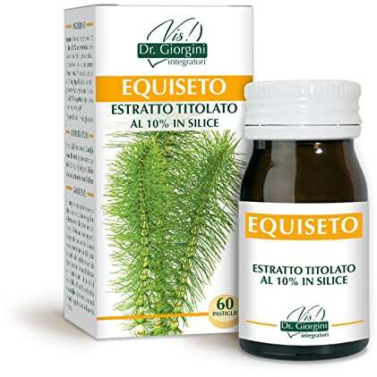 Dr Giorgini Integratore Alimentare, Monocomponenti Erbe Equiseto Estratto Titolato al 10% in Silice Pastiglie - 30 g